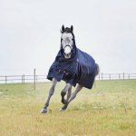 Horze Nepromokavá deka pro koně 1200D Medium Combo Turnout Rug tmavě modrá