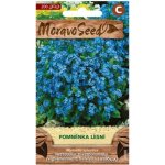 MORAVOSEED Pomněnka lesní modrá – Hledejceny.cz