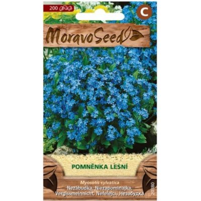 MORAVOSEED Pomněnka lesní modrá – Hledejceny.cz