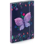 Karton P+P A4 Motýl 3-75618 – Zboží Mobilmania