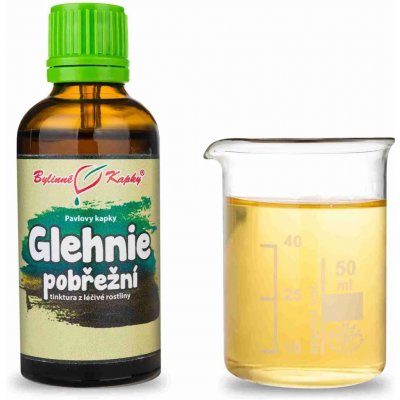 Bylinné kapky Pavlovy Glehnie pobřežní TCM tinktura 50 ml – Hledejceny.cz