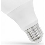 Spectrum LED GLS E27, 230V, 7W, CW – Hledejceny.cz