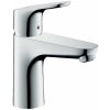 Vodovodní baterie Hansgrohe 31517000