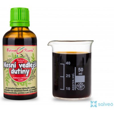 Bylinné kapky Pavlovy bylinné kapky Nosní vedlejší dutiny tinktura 50 ml – Hledejceny.cz