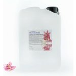 PM Aqualog esence do parních kabin orchidej 862-003/D 3 l – Hledejceny.cz