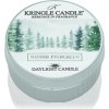 Svíčka Kringle Candle Winter Evergreen 42 g