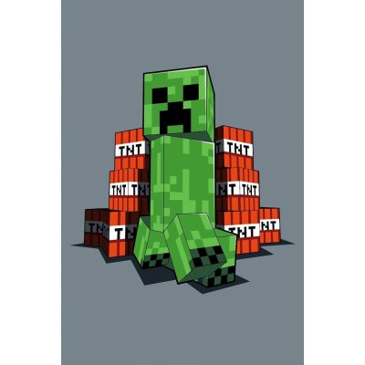 Jerry Fabrics Dětská fleecová deka Minecraft TNT – Zbozi.Blesk.cz