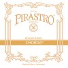 Struna Pirastro CHORDA 174720