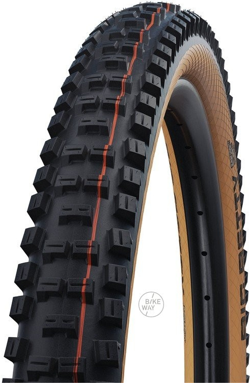 Schwalbe BIG BETTY 29x2.40