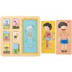 Classic World Educational Board Human Body Stavebnice pro děti Match 19 dílků – Zboží Dáma