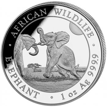 Bavarian Mint Munich Stříbrná mince Somalia Elephant 2024 1 oz