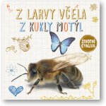 Z larvy včela, z housenky motýl - Životní cyklus – Hledejceny.cz