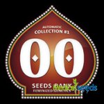 00 Seeds Bank Automatic Collection #1 semena neobsahují THC 6 ks – Hledejceny.cz
