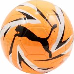 Puma KA Big Cat – Sleviste.cz