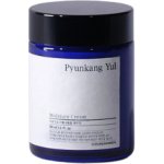 Pyunkang Yul Moisture Cream hydratační krém 100 ml – Hledejceny.cz