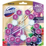 Domestos Aroma Lux Hibiscus oil&Wild Berries tuhý WC blok 3 x 55 g – Zbozi.Blesk.cz