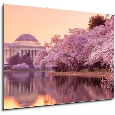 Obraz 1D - 100 x 70 cm - the Jefferson Memorial during the Cherry Blossom Festival Jeffersonův památník během festivalu Cherry Blossom – Zboží Mobilmania