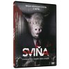 DVD film Sviňa DVD