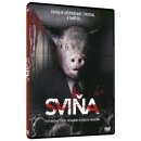 Sviňa DVD