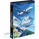 Flight Simulator 2020