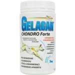 Gelacan Chondro Forte plv 500 g – Hledejceny.cz