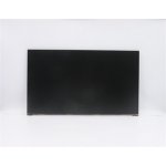 Lenovo LCD 21,5" FHD pro IdeaCentre AIO 3-22 FRU 5D10W33939 5D10W33939 – Zboží Živě