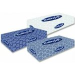 BulkySoft papírové kapesníčky 2-vrstvé 100 ks – Zboží Dáma