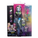 Mattel Monster High Fashion Doll Frankie Stein & Pet Watzie HXH73 – Zbozi.Blesk.cz