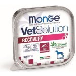 Monge Vet Dog Recovery imunita 150 g – Zboží Mobilmania