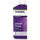 Plagron Power Roots 1 l