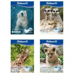 Pelikan Blok kreslicí A4/20 listů – Sleviste.cz