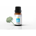 BEWIT Khella Esenciální olej 5 ml – Hledejceny.cz
