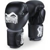 Boxerské rukavice Phantom Elite ATF