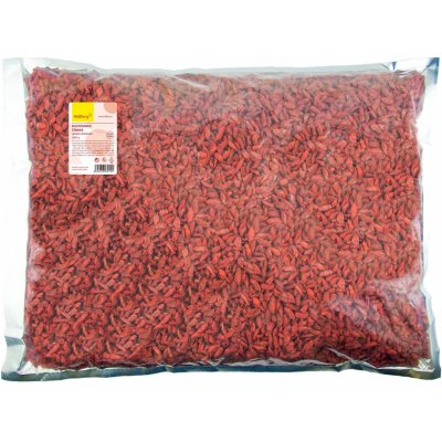 Wolfberry Goji kustovnice čínská 500 g – Zboží Mobilmania