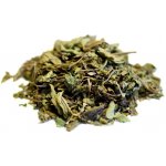 Salvia Paradise Gotu kola nať 30 g – Hledejceny.cz