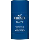 Hollister Wave Men deostick 75 g