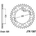 JT Sprockets JTR 1307-43 | Zboží Auto