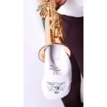 Vytěrák BG A33 na Es-klar. a sopran sax. – Sleviste.cz