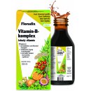 Salus Vitamin B komplex Pro psychickou rovnováhu 250 ml
