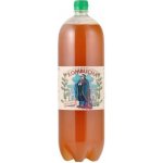 Country Life Kombucha meduňka bio 2 l – Zboží Mobilmania