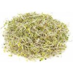 Biomiska BROKOLICE 100 g SEMÍNKA NA KLÍČENÍ – Zboží Mobilmania