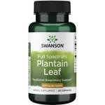 Swanson Plantain Jitrocel Větší 400 mg 60 kapslí – Hledejceny.cz