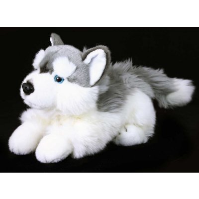 pes husky ležící 30 cm – Zboží Mobilmania