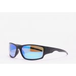 Bliz Polarized C – Zbozi.Blesk.cz