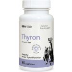 LAB-V Thyron Podpora správné funkce štítné žlázy pro psy a kočky 90 kapslí – Hledejceny.cz