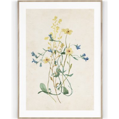 Plakát / Obraz Flowers A4 - 21 x 29,7 cm Tiskové plátno – Hledejceny.cz