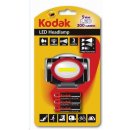 Kodak 012100131