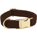 Petify Obojek pro psa Scruffy – Zboží Dáma