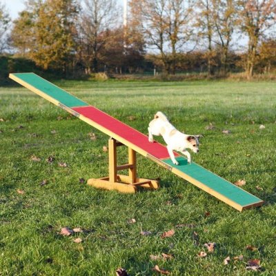 Trixie Agility Houpačka 300 x 54 x 34 cm – Zboží Mobilmania