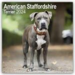 American Staffordshire Terrier Square Dog Breed Wall 16 Month 2024 – Hledejceny.cz